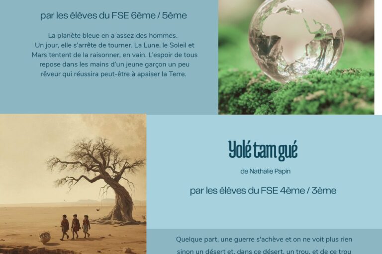 affiche spectacle FSE collège (2)