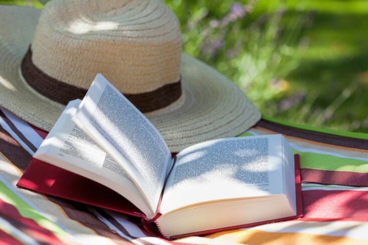 870x489_livre-ete-2016